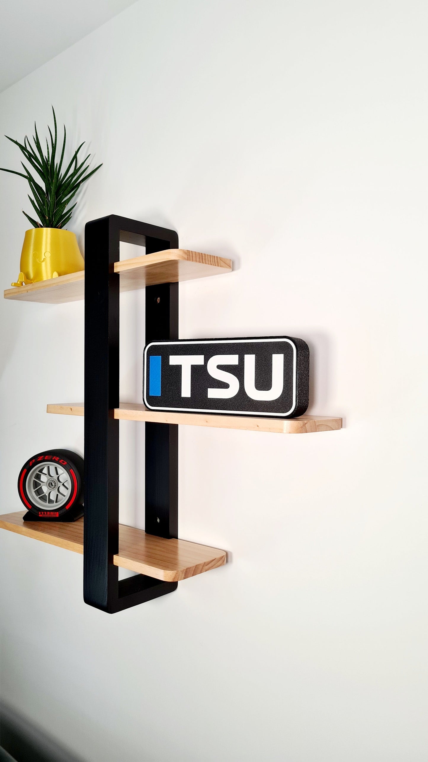 "TSU" F1 driver initials display sign and Pirelli P Zero red slick F1 tire replica, F1 fan decor gift.