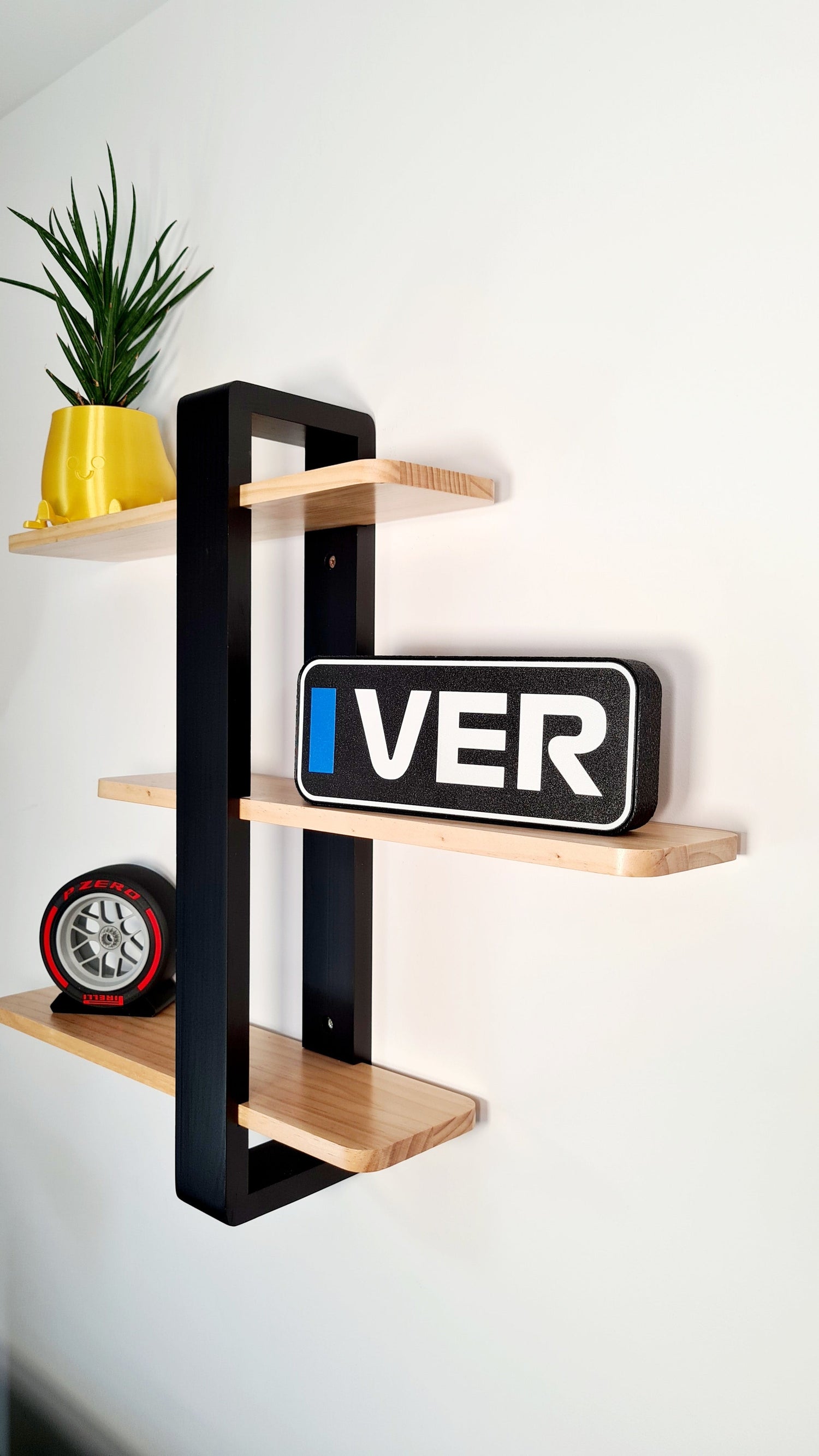 F1 Driver Light Box