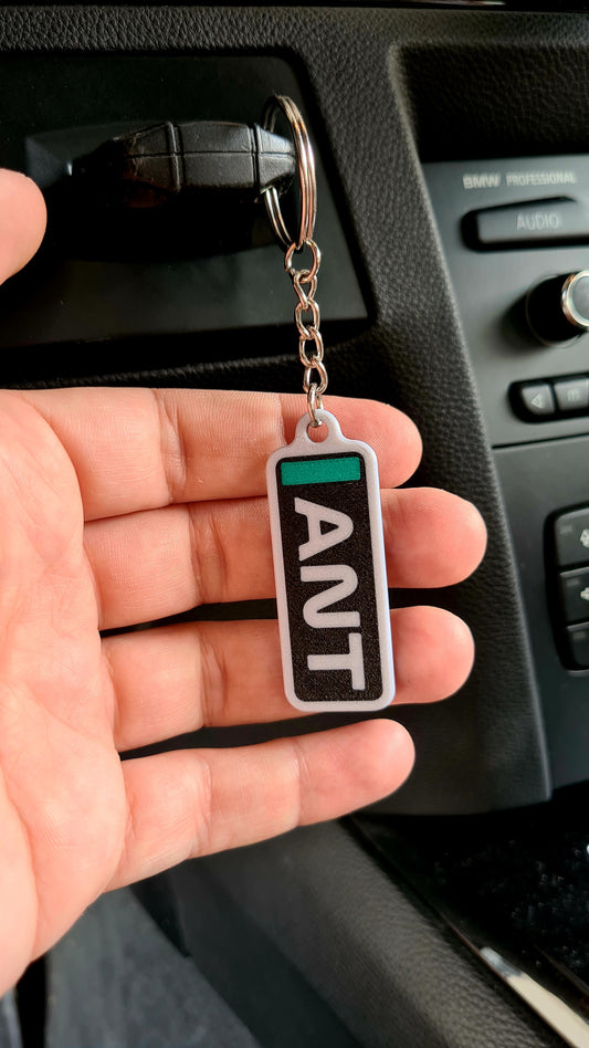 "ANT" F1 driver initials keychain with green stripe, great F1 fan gift.